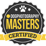 dog photography masterss