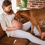 zwangerschapsfotograaf Erpe-Mere