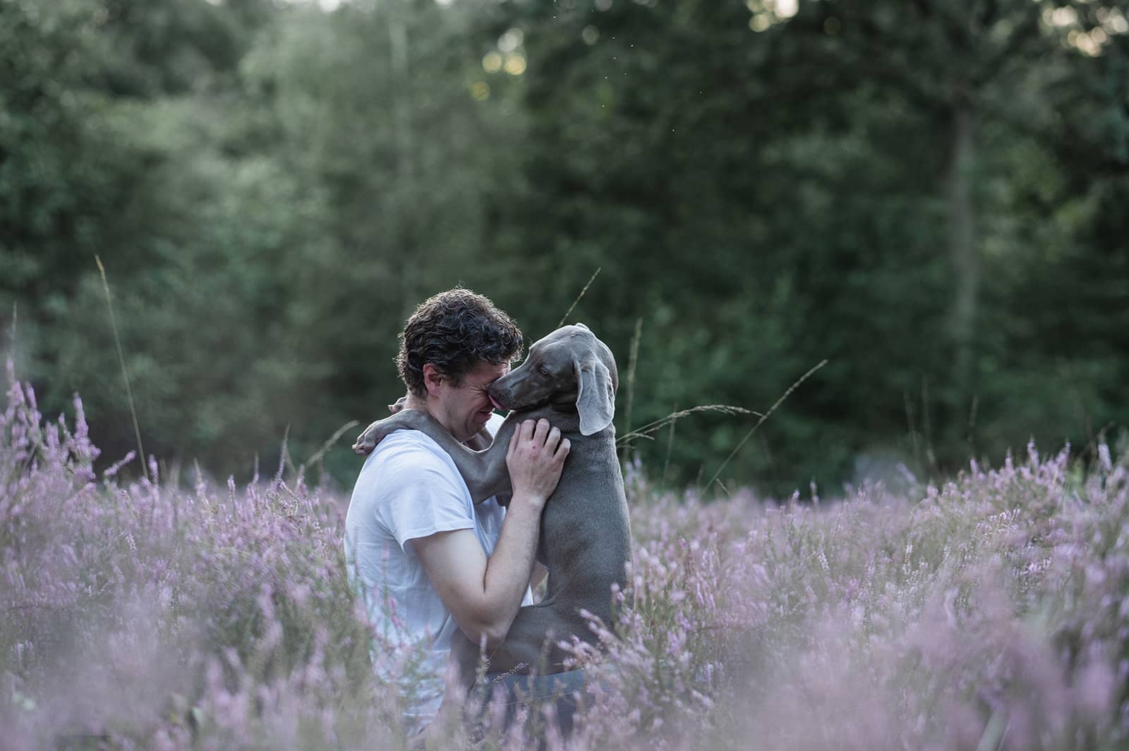 Lees meer over het artikel Foto’s met je hond op de paarse heide