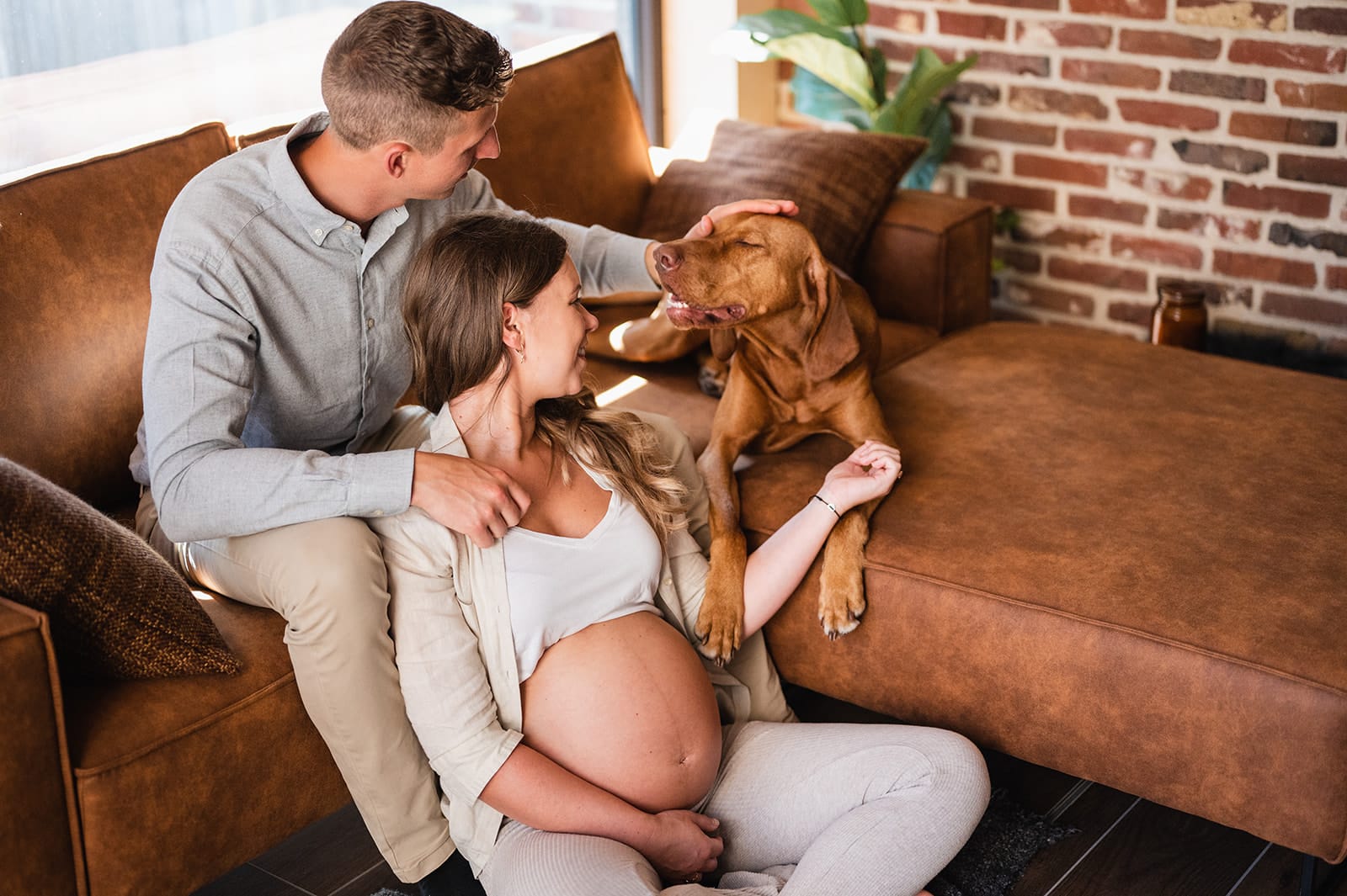 Lees meer over het artikel Zwangerschapsfotograaf Erpe-Mere: zwangerschapsfoto’s met hond