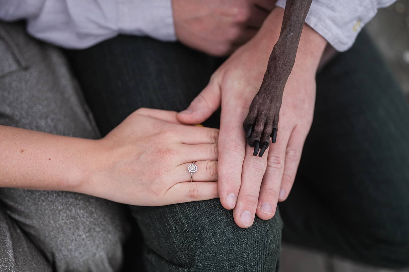 Lees meer over het artikel Mens en hondenfotograaf Erpe-Mere: verlovingsfoto’s met je hond