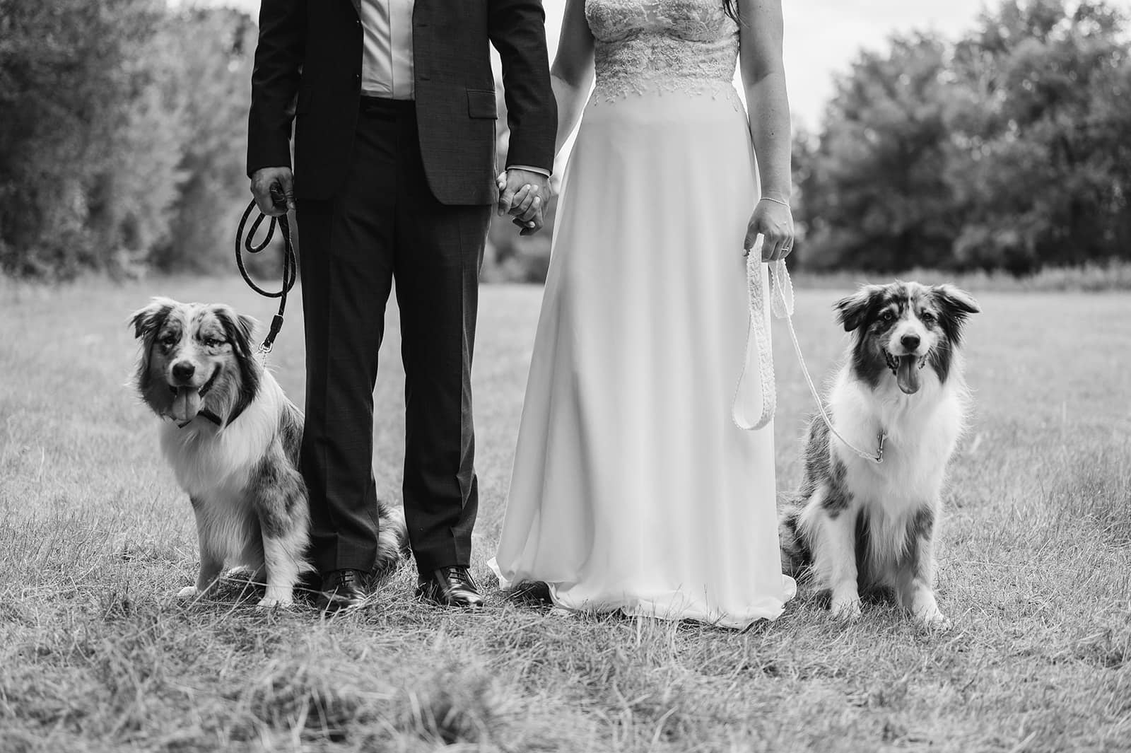 Lees meer over het artikel Trouwfoto’s met je hond – Mens en hondenfotograaf Gent