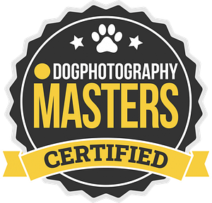 dog photography masterss